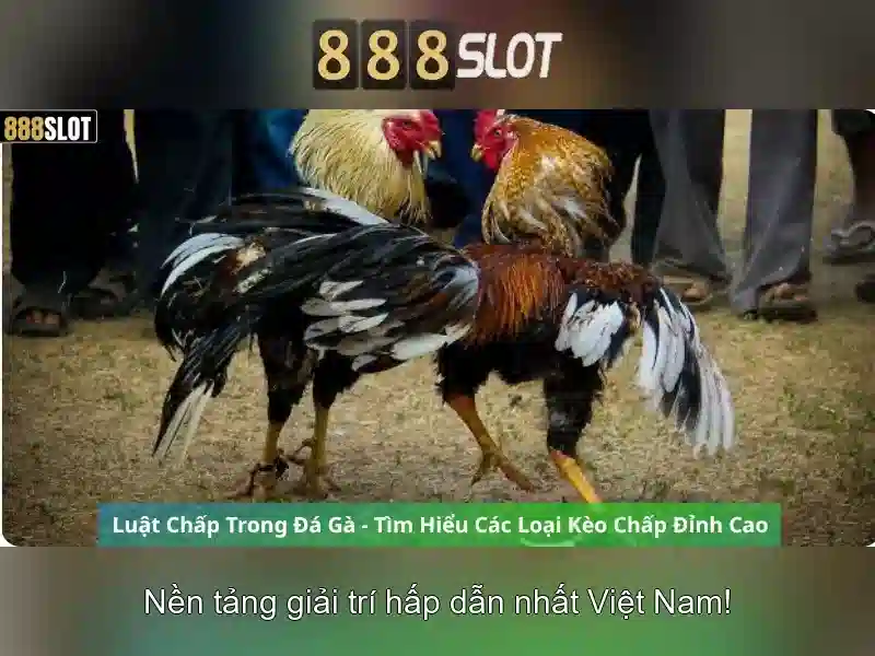 Tải App 888SLOT Chính Thức