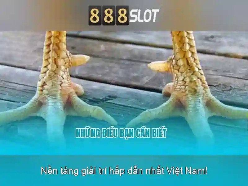 Khuyến Mãi Nhận Thưởng 888slot