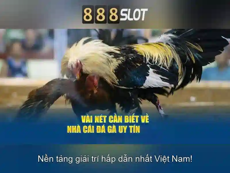 Trò Chơi Đổi Thưởng